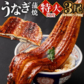 【ふるさと納税】国産「特大うなぎ蒲焼」3尾 690〜750g 特製タレ3個セット うなぎ 鰻 ウナギ 人気 国産 蒲焼 蒲焼き unagi 土用の丑の日 グルメ タレ付き ひつまぶし 高級 冷凍 3尾 特大 ギフト 贈り物 贈答用 プレゼント 送料無料