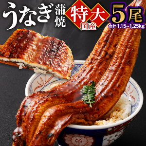 yӂ邳Ɣ[ŁzYu傤Ȃāv5 1.15`1.25kg ^5Zbg Ȃ V EiM lC Y  Ă unagi yp̉N̓ O ^t Ђ܂Ԃ  Ⓚ 5  Mtg