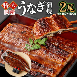 yӂ邳Ɣ[Łzy2025N11zY Ȃ 2i460`500gj ^2 Zbg b Ȃ V EiM lC Y  Ă unagi yp̉N̓ O ^t Ђ܂Ԃ  