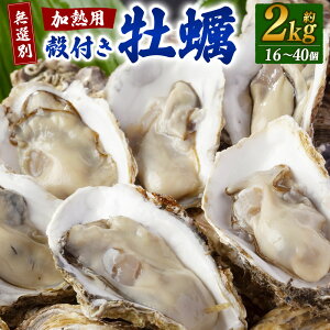 yӂ邳Ɣ[ŁzyIʁzMp kty 2kg i16`40jy2026N1{-2026N3{z | y  JL kt Mp p Ăy y y JLtC y̎