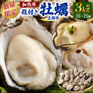 yӂ邳Ɣ[ŁzyʌzyIʁzMp kty 3kgi35`75jO{ ʏF2kgi24`50jy7ȍ~Jnzby  JL kt Mp p Ăy y