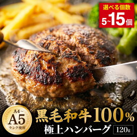 【ふるさと納税】【A4〜A5ランクの黒毛和牛100%】ハンバーグ 計600g（5個） / 計1.2kg（10個） / 計1.8kg（15個）＜選べる内容量＞ 1個あたり120g 黒毛和牛 牛肉 牛 100% お肉 赤身 食べきりサイズ 個包装 お弁当 ギフト 贈答 国産 冷凍 コスパ 阪南市 送料無料