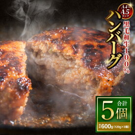 【ふるさと納税】【12月下旬以降順次発送】【A4～A5ランクの黒毛和牛100%】ハンバーグ 計600g（5個） / 計1.2kg（10個） / 計1.8kg（15個）＜選べる内容量＞ 1個あたり120g 黒毛和牛 牛肉 お肉 赤身 食べきりサイズ 個包装 お弁当 ギフト 贈答 国産 冷凍 阪南市 送料無料