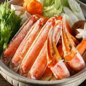 yӂ邳Ɣ[Łz킢I n[t|[V 1.0kg y14zb I Jj  {C  Ε Jj ނg  Ԃ YCKj 킢I O |[V Jbg 1k