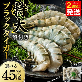 【ふるさと納税】★高評価!!【14営業日以内発送】 特大 エビ ブラックタイガー 無頭 【お試し】7尾・【定番人気】15尾・【おすすめ】30尾・【大容量】45尾・【定期便】3・6・12回 / 1パック15尾入 海鮮 魚介 冷凍 殻付 えび 海老 エビフライ エビチリ パエリア 鍋 阪南市