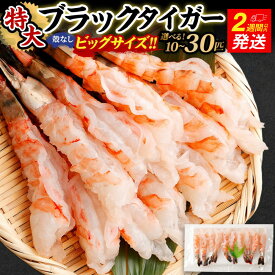 【ふるさと納税】 ★高評価!! 【選べる容量】特大ブラックタイガー（殻なし）ビッグサイズ 10匹 / 20匹 / 30匹【入金確認後14営業日程度で発送】｜ブラックタイガー 冷凍エビ 特大エビ 大きい えび 剥き むき ムキ 海老 殻剥き お取り寄せ 訳あり ギフト 阪南市
