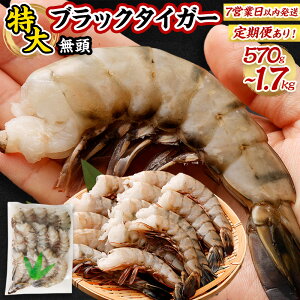 yӂ邳Ɣ[ŁzymF7cƓȓɔz PiEւIׂ遄  ubN^CK[   Pi 570g (15) or 1.1kg(30) or 1.7kg(45) ܂ ց 3E6