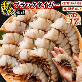 【ふるさと納税】 【入金確認後7営業日以内に発送】 ＜選べる＞ 特大 ブラックタイガー 無頭 えび ＜単品＞ 約570g (15尾) or 約1.1kg(30尾) or 約1.7kg(45尾) または ＜定期便＞ 3回・6回・12回 12000円 ～ 140000円 1万2000円 ～ 14万円｜冷凍 大阪府 阪南市