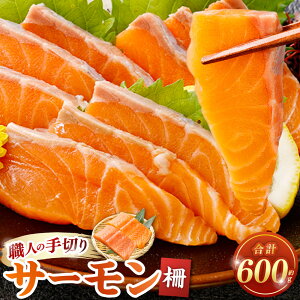 yӂ邳Ɣ[ŁzT[ 600g   T[ TP ؂ hg Ă jG }l   Y CY Ⓚ Y { s 