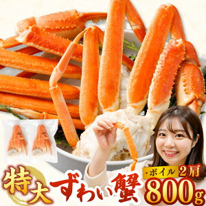 yӂ邳Ɣ[Łz{CYCI  TCY 2 800g bI  5LTCY {C  Ε Jj ނg  Ԃ YCKj 킢I O |[V Jbg 