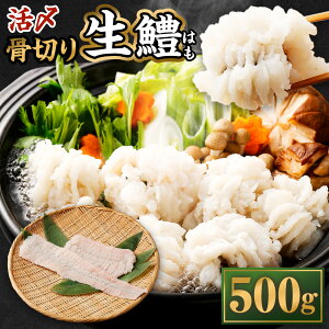 yӂ邳Ɣ[ŁẑݐY Y ؂   ͂ 500gy2025N5{12{\zn  ͂ VR    ؂ ؂g  ①   Y Ԃ VN 