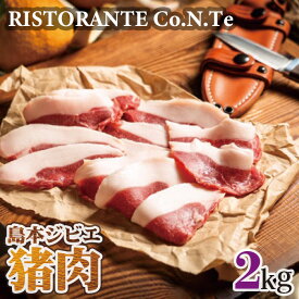 【ふるさと納税】No.041 島本ジビエ「猪肉」約2kg ／ 狩猟肉 イノシシ肉 送料無料 大阪府 特産品