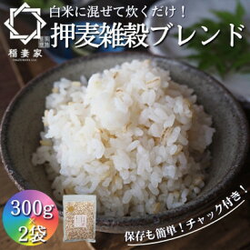 【ふるさと納税】【白米に混ぜて簡単!】国産 押し麦ブレンド600g(300g×2袋入り)【1632803】