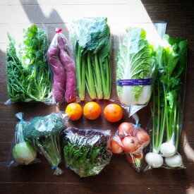 【ふるさと納税】おまかせ野菜セット(2026年5月下旬～発送予定)【配送不可地域：離島】【1702373】