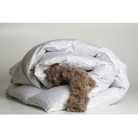 【ふるさと納税】最高級羽毛アイダーダウンを使用した羽毛肌ふとん『LARM(ラーム)』セミダブル【1702415】