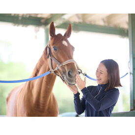 【ふるさと納税】乗馬体験6回コース(30分×6回) レッスンご利用券(別途装具レンタル・保険料必要)【1703899】