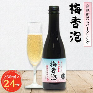 yӂ邳Ɣ[Łzn~̃Xp[NO@~A(߂ق)@24{_ IBn~ uf[ VR ~  AR[ lC    Mtg Xp[NO y1033663