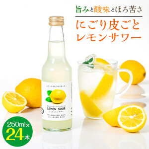 yӂ邳Ɣ[Łzq|݂Ǝ_Ƃقꂳrɂ炲ƃT[@250ml×24{_  T[ ɂ  VR lC    Mtg  AR[ y1245075z