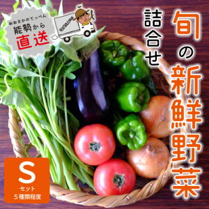 yӂ邳Ɣ[Łzw\Yx@_ƒ!ׂԂρ[̏{̐VN؋l@SZbg(5)@yzsnFzy1509066z