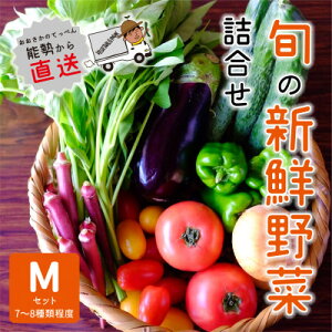 yӂ邳Ɣ[Łzw\Yx@_ƒ!ׂԂρ[̏{̐VN؋l@MZbg(7`8)@yzsnFzy1509078z