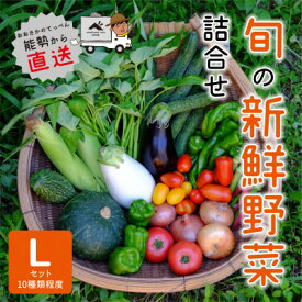 【ふるさと納税】『大阪能勢産』　農家直送!べじたぶるぱーくの旬の新鮮野菜詰合せ　Lセット(10種類)　【配送不可地域：離島】【1509097】