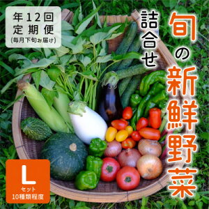 yӂ邳Ɣ[ŁzyŒցz\Y@ׂԂρ[̐VN؋lLZbg(10)@{S12yzsnFzy4062841z