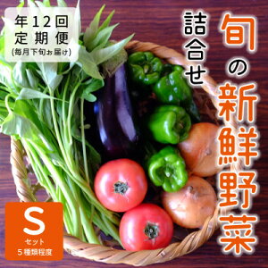 yӂ邳Ɣ[ŁzyŒցzw\YxׂԂρ[̐VN؋l@SZbg(5)@{S12yzsnFzy4062843z