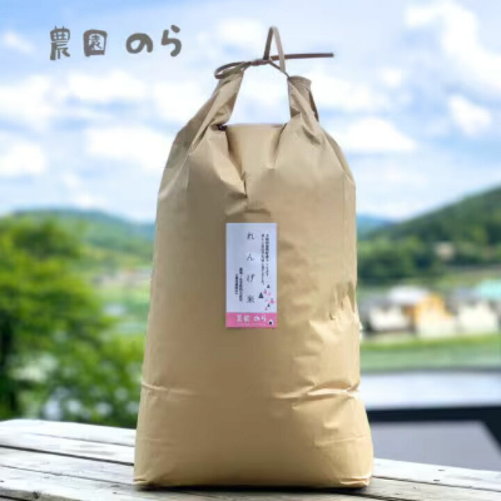 楽天市場】【ふるさと納税】令和7年産コシヒカリ「レンゲ米」玄米10kg 