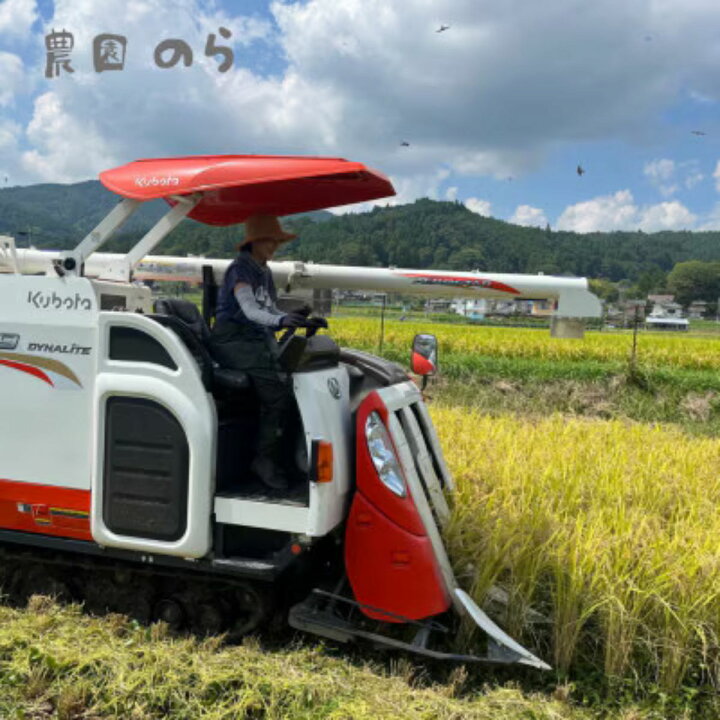 楽天市場】【ふるさと納税】令和7年産コシヒカリ「レンゲ米」玄米10kg 