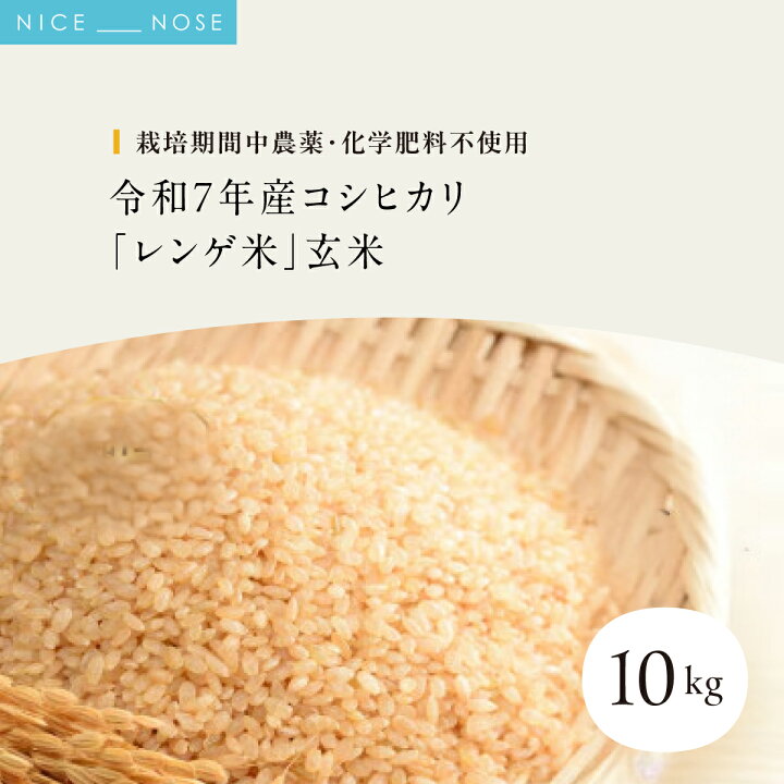 楽天市場】【ふるさと納税】令和7年産コシヒカリ「レンゲ米」玄米10kg 