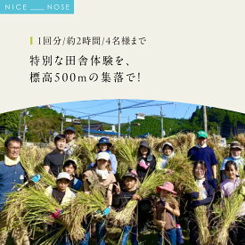 【ふるさと納税】特別な田舎体験を、標高500mの集落で！(1回分/約2時間/4名様まで) | 天王恵み会 | 農業体験 田舎体験 体験 チケット 自然体験 旅行 特別な時間 ハイキング 川遊び ホタル観賞 標高500m 日帰り アクティビティ アウトドア | 大阪府 能勢町 送料無料