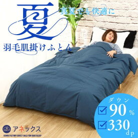 【ふるさと納税】【洗える】春夏用羽毛肌掛け布団シングルサイズダウン90%ダウンネイビーダウンケット抗菌防臭防ダニ【1301099】
