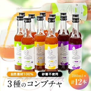 yӂ邳Ɣ[Łzg킸uAKxvŔyuRf100%v3̃Ru`@(280ml×12{)y1312537z
