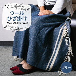 yӂ邳Ɣ[ŁzE[Ђ|@70cm×120cm([)@u[y1410470z