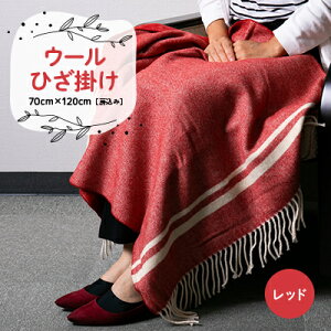 yӂ邳Ɣ[ŁzE[Ђ|@70cm×120cm([)@bhy1410475z