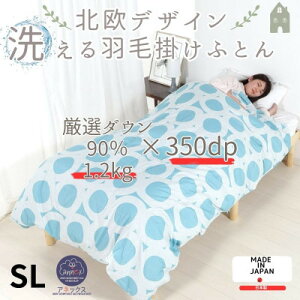 yӂ邳Ɣ[Łzy􂦂z\ȉHэ|zcVO H1.2kg kfUC u[RۖhLHтӂƂy1443827z