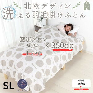 yӂ邳Ɣ[Łzy􂦂zHэ|zcVO H1.2kg kfUC x[WRۖhLHy1443834z