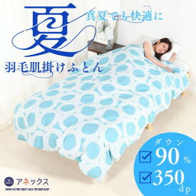 【ふるさと納税】【洗える】羽毛肌掛け布団シングル日本製　軽量夏用ダウンケット/北欧柄丸柄ブルー羽毛肌ふとん【1511398】