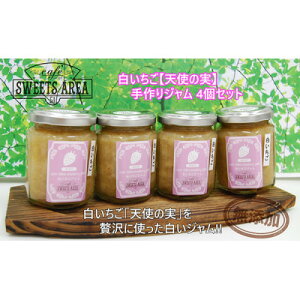 yӂ邳Ɣ[ŁzSWEETS AREA51 yVg̎zW 4Zbg Yy1607461z