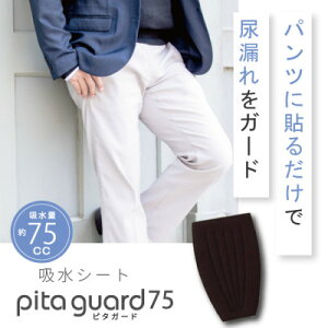 yӂ邳Ɣ[Łzs^K[h 75 ARpbh jp zV[g ubNy1683124z