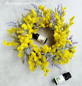 yӂ邳Ɣ[Łz~Uƃx_[̃Eh[Xi036_5010)