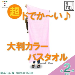 【ふるさと納税】超ドでか〜い♪大判カラ−バスタオル2枚セット(TK388/1500匁)(046_5008)※沖縄・離島への配送不可