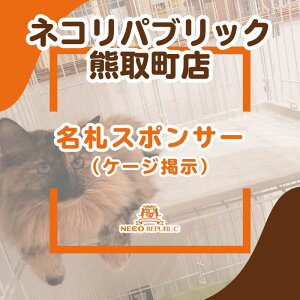 yӂ邳Ɣ[ŁzDX|T[iP[Wfji047_5008j