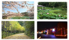 【ふるさと納税】グローバル人材の育成に関する事業（000_001）