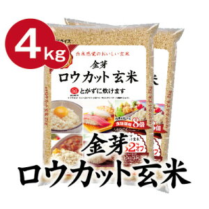 yӂ邳Ɣ[Łzy4kgz胍EJbg 4kg(2kg×2)ӂ_炩!y1505276z