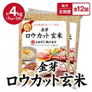 yӂ邳Ɣ[Łzyցz胍EJbg4kg(2kg×2)ӂ_炩!S12y4056787z