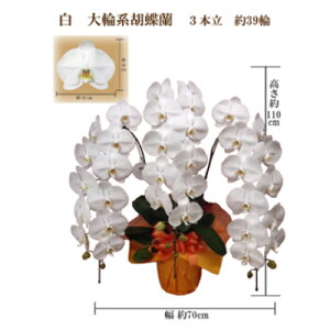 yӂ邳Ɣ[Łzj@Ӓ@3{@39ց@bsOJ[sNy1258082z