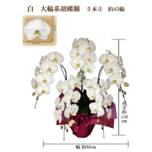yӂ邳Ɣ[Łzj@Ӓ@5{@45ց@bsOJ[sNy1258123z