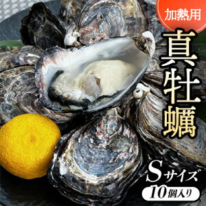 yӂ邳Ɣ[ŁzySTCY10:40`30g/zMp^y@[ICX^[t@[@piCtt@yzsnFEkCEꌧzy1570875z