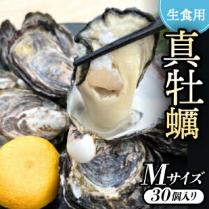yӂ邳Ɣ[ŁzsMTCY30:41`60g/tHp^y@[ICX^[t@[@piCttyzsnFEkCEꌧzy1603256z